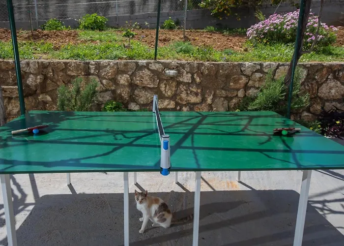 Maria's House * Khelmáta