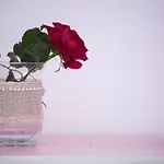 Maria's House 度假居 *