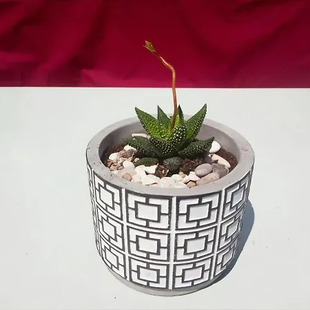 Semesterbostad Maria's House Khelmáta