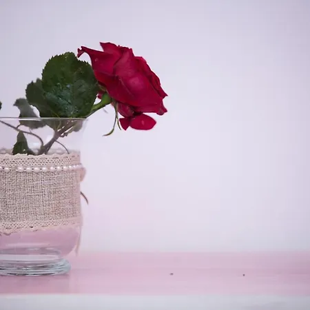 Maria's House بيت للعطل *